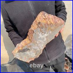 13.1LB Natural petrified wood rough Wood fossil mineral specimen healing energy 13.1LB Natural petrified wood rough Wood fossil mineral specimen healing energy