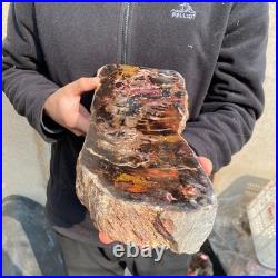 13.1LB Natural petrified wood rough Wood fossil mineral specimen healing energy 13.1LB Natural petrified wood rough Wood fossil mineral specimen healing energy