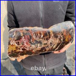 13.1LB Natural petrified wood rough Wood fossil mineral specimen healing energy 13.1LB Natural petrified wood rough Wood fossil mineral specimen healing energy
