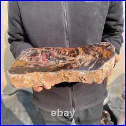 13.1lb Rare Natural petrified wood rough Wood fossil mineral specimen healing 13.1lb Rare Natural petrified wood rough Wood fossil mineral specimen healing