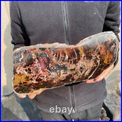 13.1lb Rare Natural petrified wood rough Wood fossil mineral specimen healing 13.1lb Rare Natural petrified wood rough Wood fossil mineral specimen healing