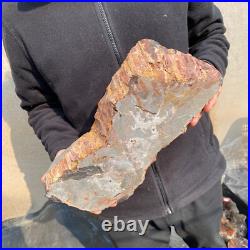 13.1lb Rare Natural petrified wood rough Wood fossil mineral specimen healing 13.1lb Rare Natural petrified wood rough Wood fossil mineral specimen healing