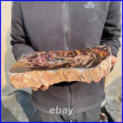13.1lb Rare Natural petrified wood rough Wood fossil mineral specimen healing 13.1lb Rare Natural petrified wood rough Wood fossil mineral specimen healing