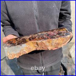 13.1lb Rare Natural petrified wood rough Wood fossil mineral specimen healing 13.1lb Rare Natural petrified wood rough Wood fossil mineral specimen healing