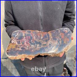 13.1lb Rare Natural petrified wood rough Wood fossil mineral specimen healing 13.1lb Rare Natural petrified wood rough Wood fossil mineral specimen healing