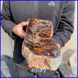13.1lb Rare Natural petrified wood rough Wood fossil mineral specimen healing 13.1lb Rare Natural petrified wood rough Wood fossil mineral specimen healing