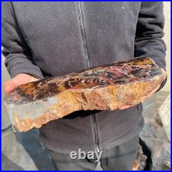 13.1lb Rare Natural petrified wood rough Wood fossil mineral specimen healing 13.1lb Rare Natural petrified wood rough Wood fossil mineral specimen healing