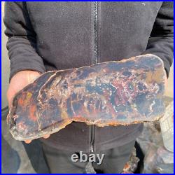 13.1lb Rare Natural petrified wood rough Wood fossil mineral specimen healing 13.1lb Rare Natural petrified wood rough Wood fossil mineral specimen healing