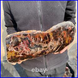 13.1lb Rare Natural petrified wood rough Wood fossil mineral specimen healing 13.1lb Rare Natural petrified wood rough Wood fossil mineral specimen healing