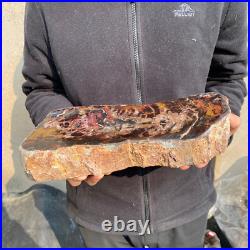 13.1lb Rare Natural petrified wood rough Wood fossil mineral specimen healing 13.1lb Rare Natural petrified wood rough Wood fossil mineral specimen healing