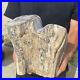 13_2lb_Rare_Natural_petrified_wood_rough_Wood_fossil_mineral_specimen_healing_01_owrg