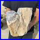 13_2lb_Rare_Natural_petrified_wood_rough_Wood_fossil_mineral_specimen_healing_01_pbd