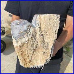 13.2lb Rare Natural petrified wood rough Wood fossil mineral specimen healing 13.2lb Rare Natural petrified wood rough Wood fossil mineral specimen healing