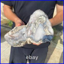 13.2lb Rare Natural petrified wood rough Wood fossil mineral specimen healing 13.2lb Rare Natural petrified wood rough Wood fossil mineral specimen healing