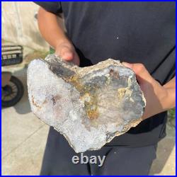 13.2lb Rare Natural petrified wood rough Wood fossil mineral specimen healing 13.2lb Rare Natural petrified wood rough Wood fossil mineral specimen healing