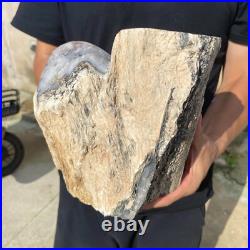 13.2lb Rare Natural petrified wood rough Wood fossil mineral specimen healing