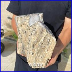 13.2lb Rare Natural petrified wood rough Wood fossil mineral specimen healing 13.2lb Rare Natural petrified wood rough Wood fossil mineral specimen healing