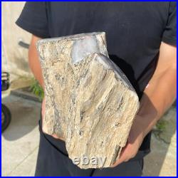 13.2lb Rare Natural petrified wood rough Wood fossil mineral specimen healing