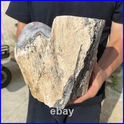 13.2lb Rare Natural petrified wood rough Wood fossil mineral specimen healing 13.2lb Rare Natural petrified wood rough Wood fossil mineral specimen healing