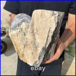 13.2lb Rare Natural petrified wood rough Wood fossil mineral specimen healing