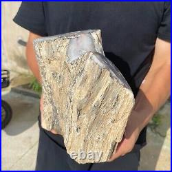 13.2lb Rare Natural petrified wood rough Wood fossil mineral specimen healing 13.2lb Rare Natural petrified wood rough Wood fossil mineral specimen healing