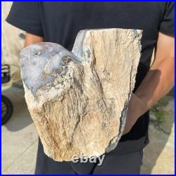 13.2lb Rare Natural petrified wood rough Wood fossil mineral specimen healing 13.2lb Rare Natural petrified wood rough Wood fossil mineral specimen healing