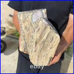 13.2lb Rare Natural petrified wood rough Wood fossil mineral specimen healing 13.2lb Rare Natural petrified wood rough Wood fossil mineral specimen healing