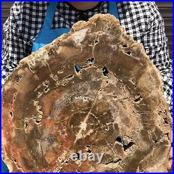 13.42LB Natural petrified wood fossil crystal polished Madagascar