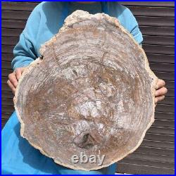 13.4KG Natural Petrified Wood Fossil Crystal Polished Slice Madagascar 41