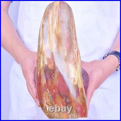 13.66LB Natural petrified wood Fossil quartz crystal Mineral Specimens healing
