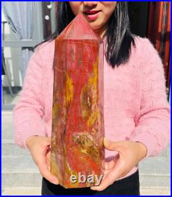 13.72lb Large Natural Petrified Wood Fossil Quartz Crystal Tower Point Specimen 13.72lb Large Natural Petrified Wood Fossil Quartz Crystal Tower Point Specimen