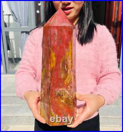 13.72lb Large Natural Petrified Wood Fossil Quartz Crystal Tower Point Specimen 13.72lb Large Natural Petrified Wood Fossil Quartz Crystal Tower Point Specimen
