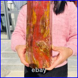 13.72lb Large Natural Petrified Wood Fossil Quartz Crystal Tower Point Specimen 13.72lb Large Natural Petrified Wood Fossil Quartz Crystal Tower Point Specimen