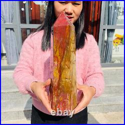 13.72lb Large Natural Petrified Wood Fossil Quartz Crystal Tower Point Specimen 13.72lb Large Natural Petrified Wood Fossil Quartz Crystal Tower Point Specimen