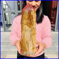 13.72lb Large Natural Petrified Wood Fossil Quartz Crystal Tower Point Specimen 13.72lb Large Natural Petrified Wood Fossil Quartz Crystal Tower Point Specimen