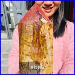 13.72lb Large Natural Petrified Wood Fossil Quartz Crystal Tower Point Specimen 13.72lb Large Natural Petrified Wood Fossil Quartz Crystal Tower Point Specimen
