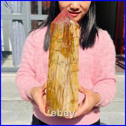 13.72lb Large Natural Petrified Wood Fossil Quartz Crystal Tower Point Specimen 13.72lb Large Natural Petrified Wood Fossil Quartz Crystal Tower Point Specimen