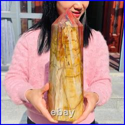 13.72lb Large Natural Petrified Wood Fossil Quartz Crystal Tower Point Specimen 13.72lb Large Natural Petrified Wood Fossil Quartz Crystal Tower Point Specimen