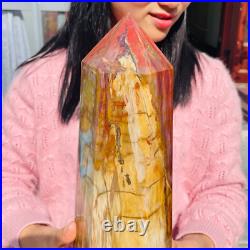 13.72lb Large Natural Petrified Wood Fossil Quartz Crystal Tower Point Specimen 13.72lb Large Natural Petrified Wood Fossil Quartz Crystal Tower Point Specimen