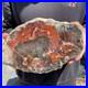 13_7LB_Natural_petrified_wood_rough_Wood_fossil_mineral_specimen_healing_energy_01_fkjf