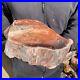13_7LB_Rare_Natural_petrified_wood_rough_Wood_fossil_mineral_specimen_healing_01_yjj