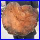 13_9lb_Rare_Natural_petrified_wood_rough_Wood_fossil_mineral_specimen_healing_01_wit