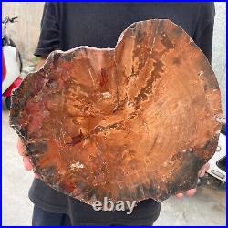 13.9lb Rare Natural petrified wood rough Wood fossil mineral specimen healing