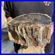 13lb_Rare_Natural_petrified_wood_rough_Wood_fossil_mineral_specimen_healing_01_ff