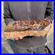 13lb_Rare_Natural_petrified_wood_rough_Wood_fossil_mineral_specimen_healing_01_hi