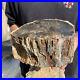 13lb_Rare_Natural_petrified_wood_rough_Wood_fossil_mineral_specimen_healing_01_wsa