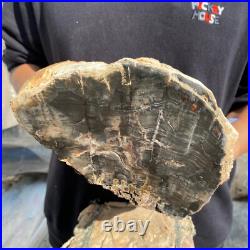 13lb Rare Natural petrified wood rough Wood fossil mineral specimen healing