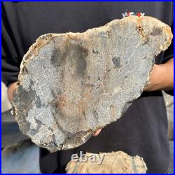 13lb Rare Natural petrified wood rough Wood fossil mineral specimen healing