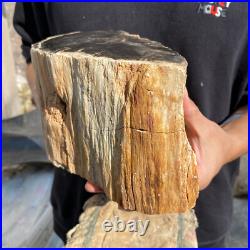 13lb Rare Natural petrified wood rough Wood fossil mineral specimen healing