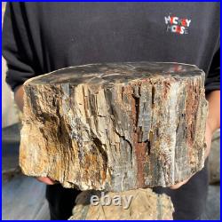 13lb Rare Natural petrified wood rough Wood fossil mineral specimen healing